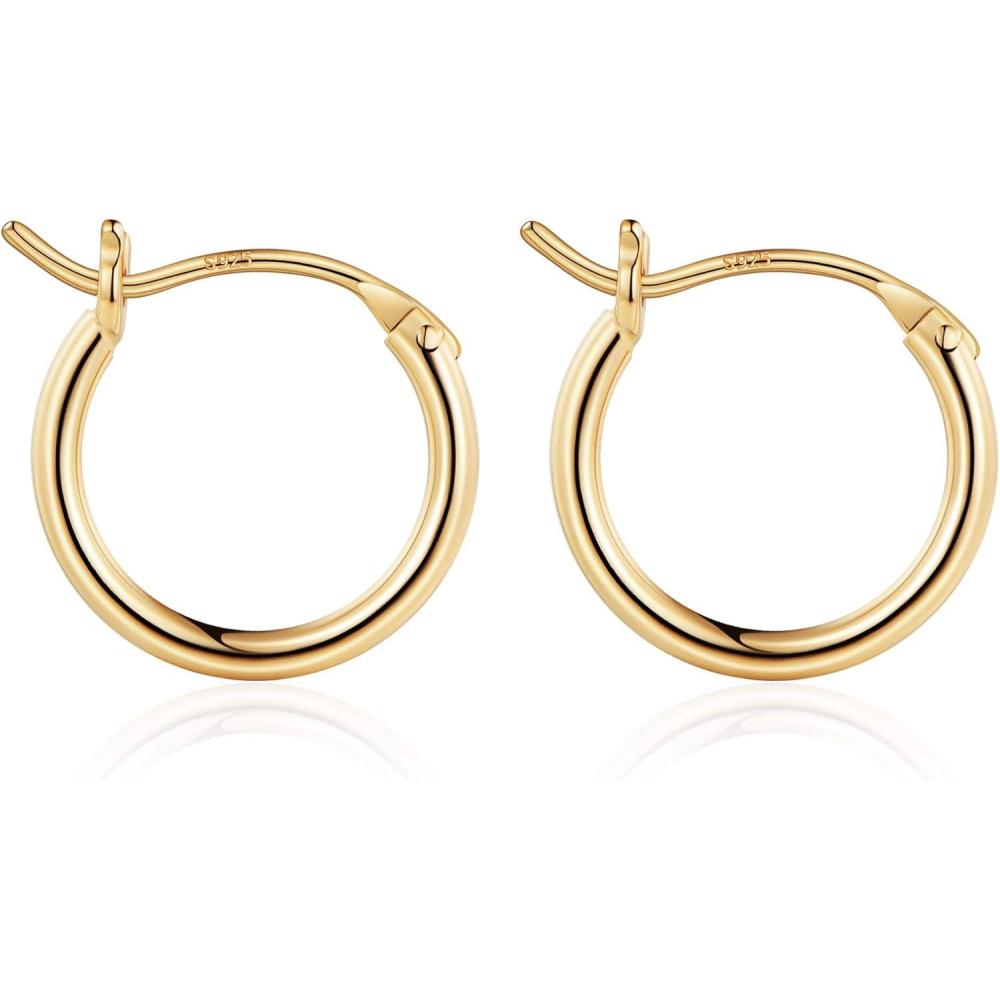 imageM MOOHAM 14KGoldPlated Hoop Earrings for Women  Hypoallergenic 14K Gold 925 Sterling silverplated Post Sensitive Ears Nickel Free Hoops Earrings Set for Women Jewelry Lightweight 1360mm2pcs13mmGoldplated