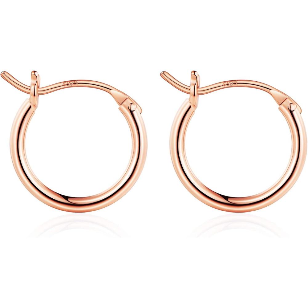 imageM MOOHAM 14KGoldPlated Hoop Earrings for Women  Hypoallergenic 14K Gold 925 Sterling silverplated Post Sensitive Ears Nickel Free Hoops Earrings Set for Women Jewelry Lightweight 1360mm2pcs13mmRoseplated